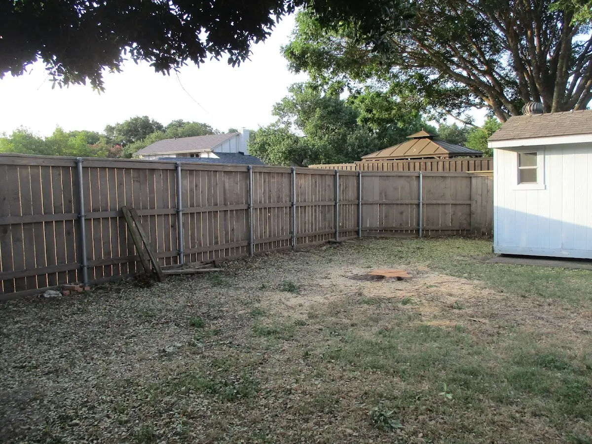 Cleared yard after professional tree removal in Powell Butte